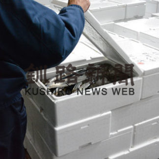 公海サンマ初水揚げ(2019-07-09)