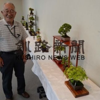 手塩の盆栽６５点　手作り棚も注目　北井さん山野草・小品展(2019-07-06)