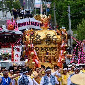 金刀比羅神社例大祭　大みこし市内を巡行(2019-08-11)