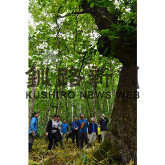 ウイスキーツアー　産地見学(2019-08-22)