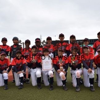 ふたみ青果杯決勝　愛国イーグルス制す(2019-07-09)_2