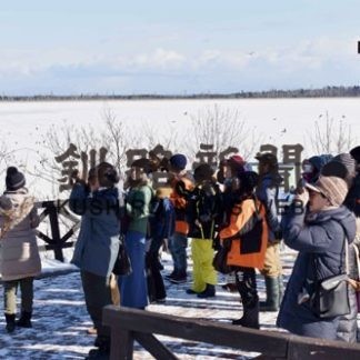 バードフェス、参加減も連泊者は増(2020-01-31)