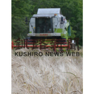 ウイスキー原料　大麦収穫(2019-08-30)