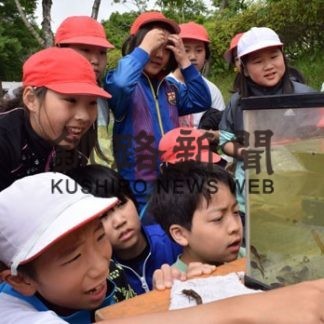 城山小トンボ池観察(2019-07-06)