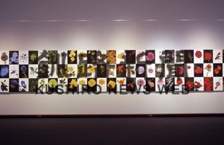 帯広ミュージアム（79）　写真で自然の美表現(2020-01-20)