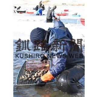 手掘りアサリ漁解禁　根室・トーサムポロ沼(2020-02-13)
