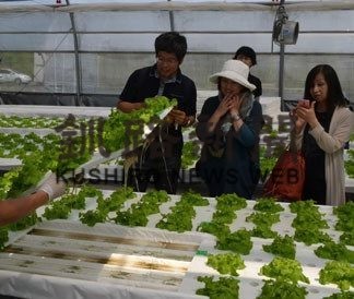 自然や歴史に理解　町民ツアー(2019-07-30)