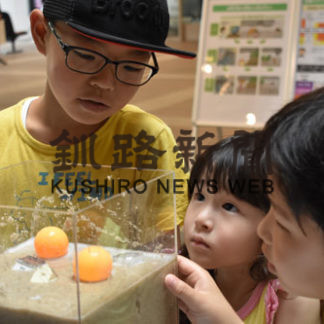 自然現象驚きの声　お天気ランド(2019-07-28)