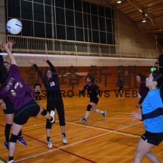 星自杯ソフトバレー熱戦(2019-06-19)