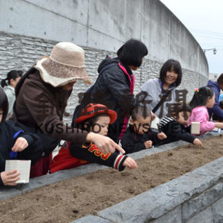 園児がキンレンカの種まき　富士見坂　(2019-05-17)