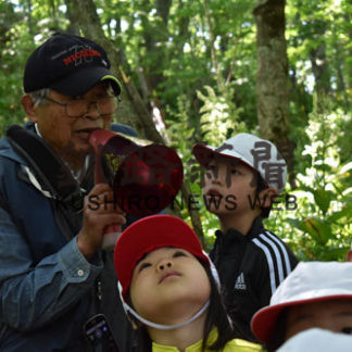 湖畔小児童が植物観察(2019-06-24)