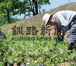 ゆめの森 爽やかに ガーデナーズクラブ(2019-06-30)