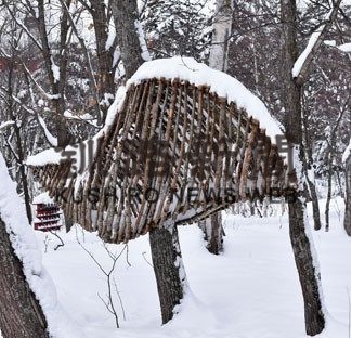 極寒ＡＲｔフェスティバル開催(2020-02-06)_1