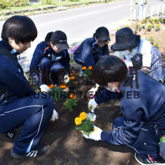 美原中生徒も協力　元気に草取り作業　美原３丁目町内会　(2019-06-07)