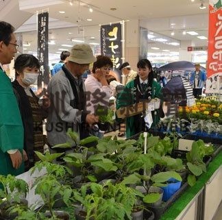 「しべちゃフェア」イオンモール釧路で(2019-05-19)