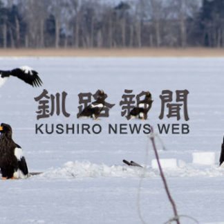 個体数、飛来傾向平年並み　オオワシ・オジロワシ調査今季終了(2020-02-27)