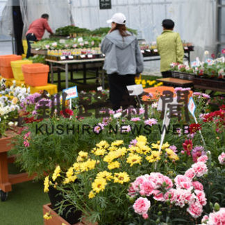 今シーズンの営業開始　パープル園芸(2019-05-09)