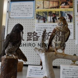 標茶で博物館移動展(2020-02-14)