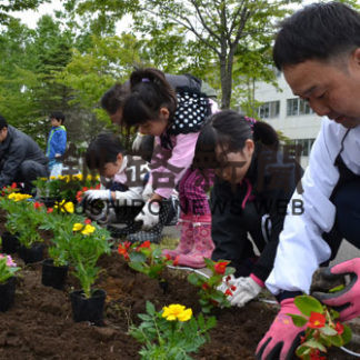 地域住民が花壇整備 釧路町セチリ太地(2019-06-13)