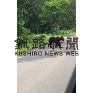 厚岸路上で、クマ発見(2019-07-31)