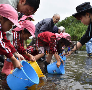 稚魚放流　大きくなってね(2019-07-28)