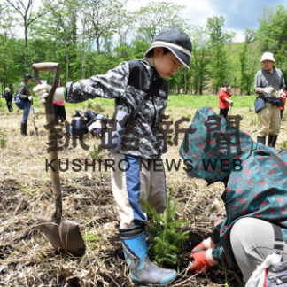 トドマツ400本を植樹　上庶路地区町有林(2019-06-06)