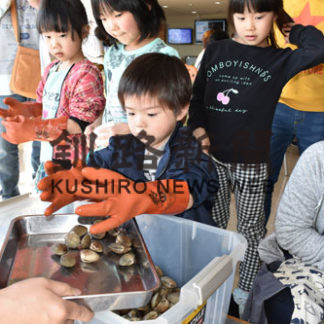 ちびっこアサリつかみ取り　コンキリエ(2019-05-06)