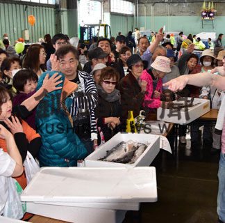 鮮魚セリ体験が人気　歯舞おさかな祭り(2019-06-01)