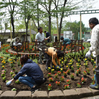 釧路ライオンズクが　動物園内の花壇整備　(2019-06-08)