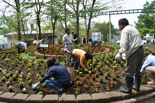 釧路ライオンズクが 動物園内の花壇整備 (2019-06-08)