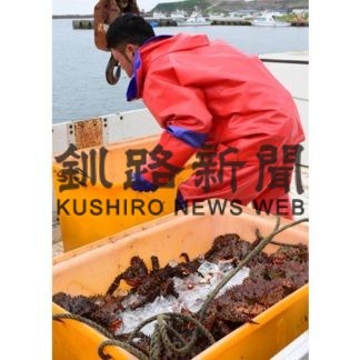 花咲ガニ　初水揚げ(2019-07-12)