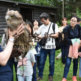 猛禽類の絵画教室　野生生物保護センター(2019-07-28)