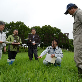 農作物の生育聞き取り(2019-07-19)