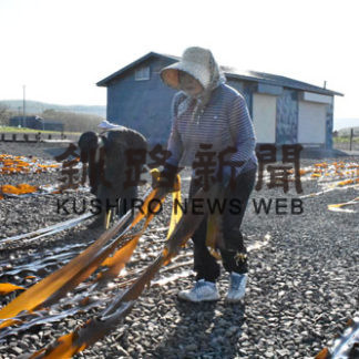 サオマエコンブ初水揚げ 浜に活気(2019-06-04)