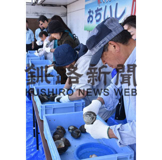 ホッキの早むきに挑戦　おちいし味まつり(2019-06-05)