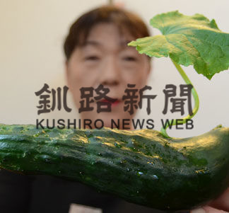 キュウリから葉　(2019-07-21)