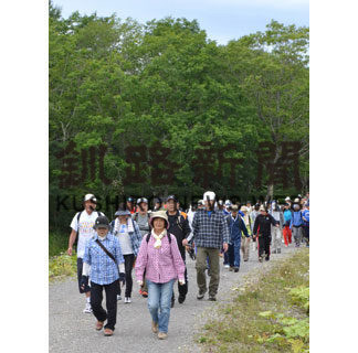 湿原の自然楽しんで　縦断ウォーク、参加募集　(2019-06-15)