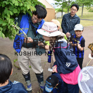 春採湖の昆虫を観察　博物館講座(2019-06-11)