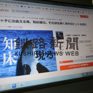 羅臼沖でシャチ生態調査(2019-06-28)