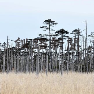 厳冬の温根沼　新ツアー模索(2020-02-20)_3