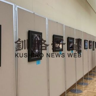 二科会写真部が作品展(2020-02-05)