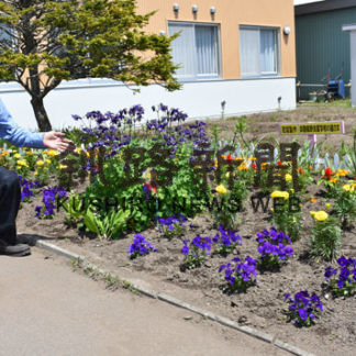 徒歩移動もなんの　花の苗を植え込み　釧路鶴野支援学校　(2019-06-07)