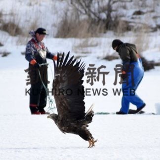 厳冬の温根沼　新ツアー模索(2020-02-20)_2