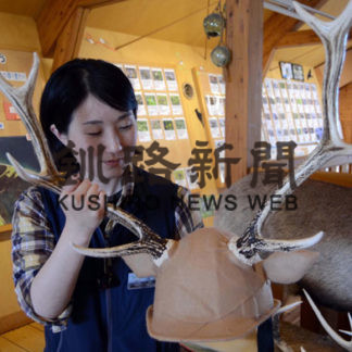 シカ角でSNS映え 野付半島ネイチャーセンター(2019-06-15)_1
