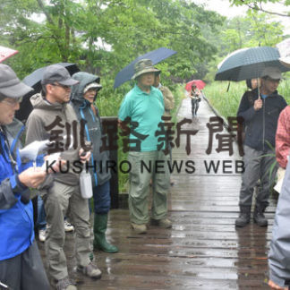 釧路湿原を散策　植物熱心に観察(2019-07-21)