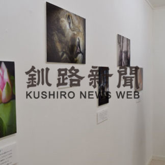 中学生カメラマン　井田たまき写真展(2019-05-10)