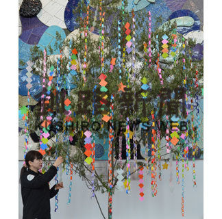 「短冊に願いを」釧路空港ビル七夕イベント(2019-06-29)