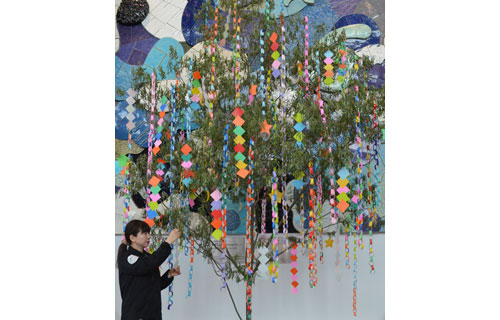 「短冊に願いを」釧路空港ビル七夕イベント(2019-06-29)