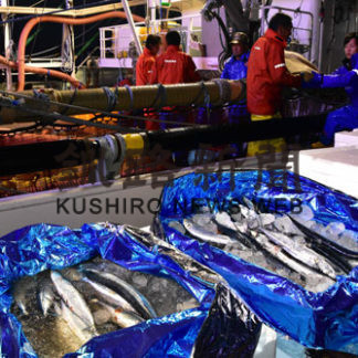 公海サンマ終漁へ(2019-07-18)