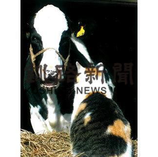 きょうから牧場写真家二人展(2019-06-13)_1